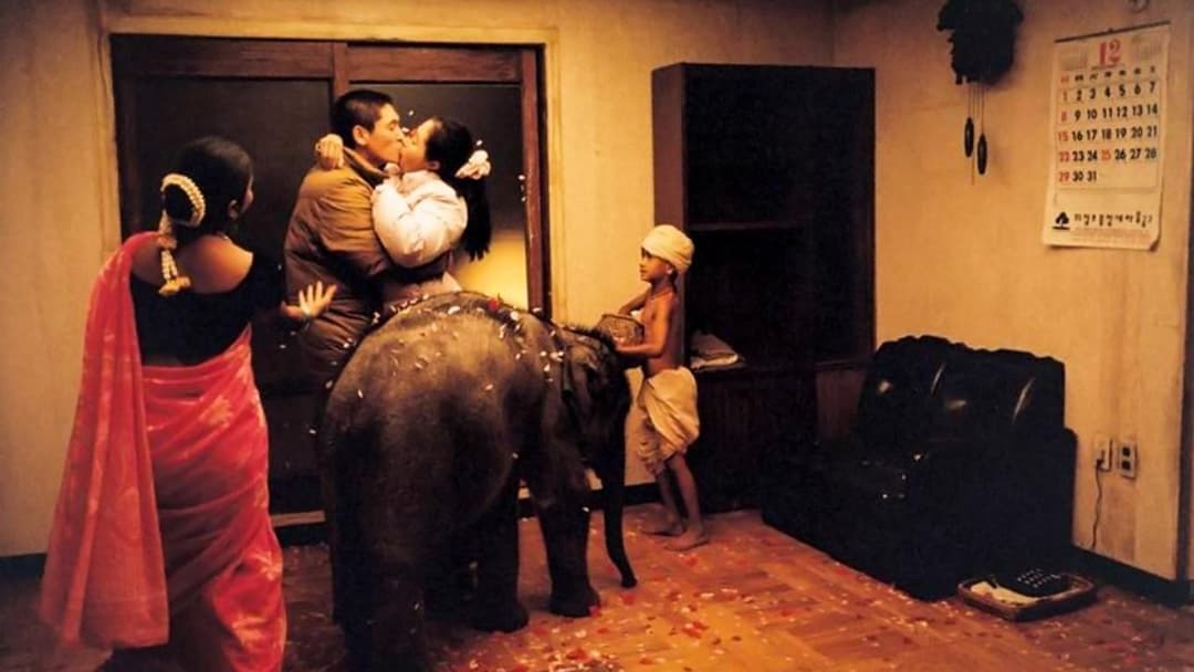 Оазис backdrop 8