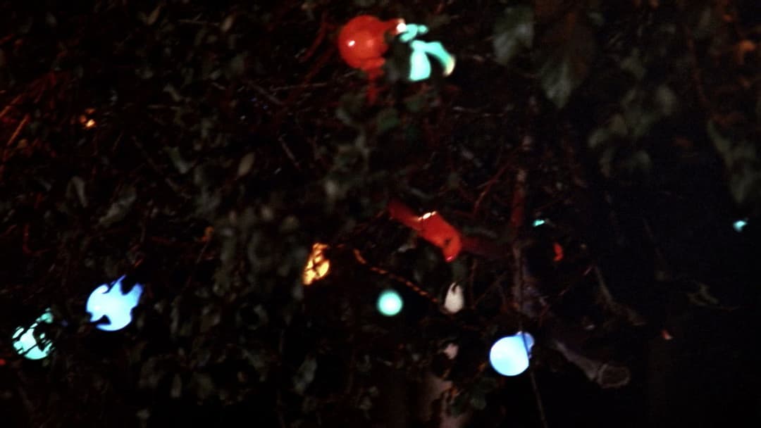 Dead Again backdrop 20