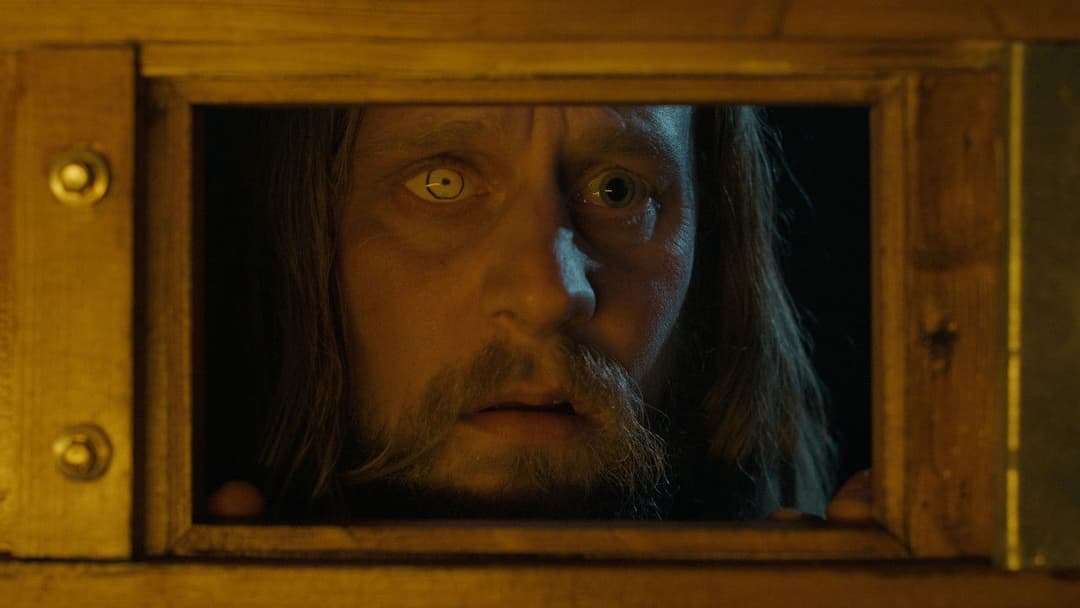 Дивакуватість backdrop 11