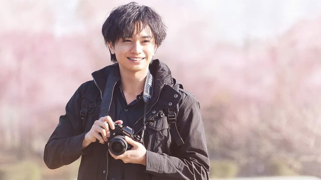 桜のような僕の恋人 backdrop 4