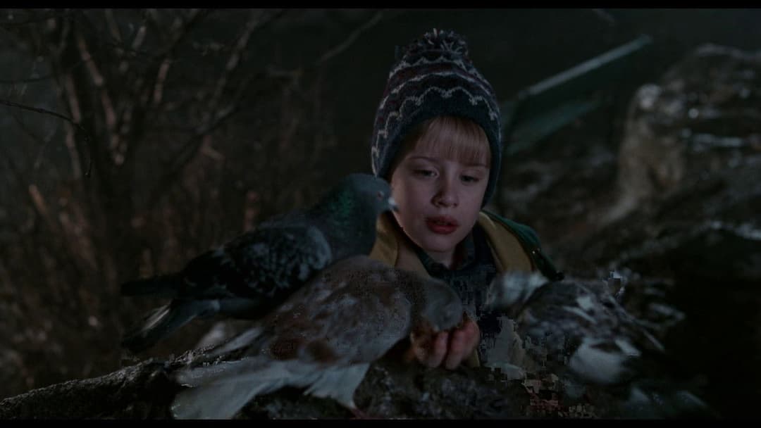 Kevin - Allein in New York backdrop 8