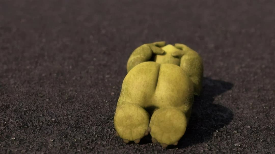 Лісова братія backdrop 4