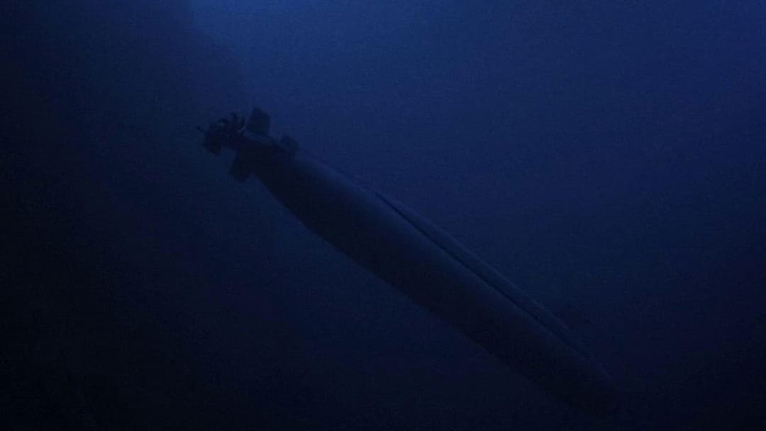 Crimson Tide backdrop 15