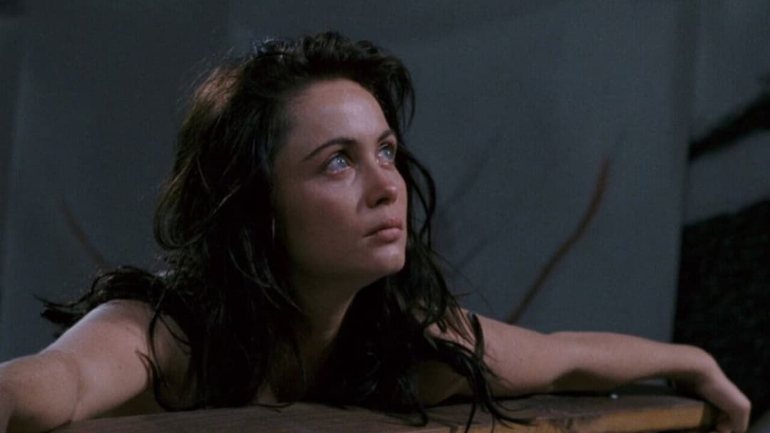 La Belle Noiseuse backdrop 4