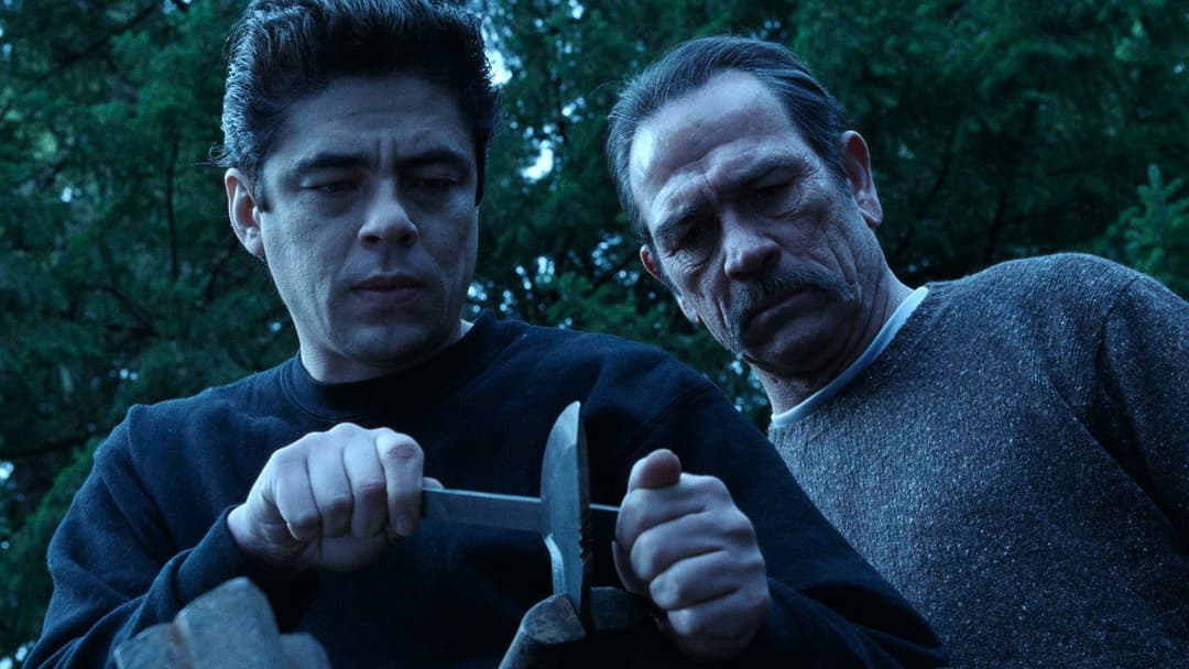 Загнаний backdrop 15