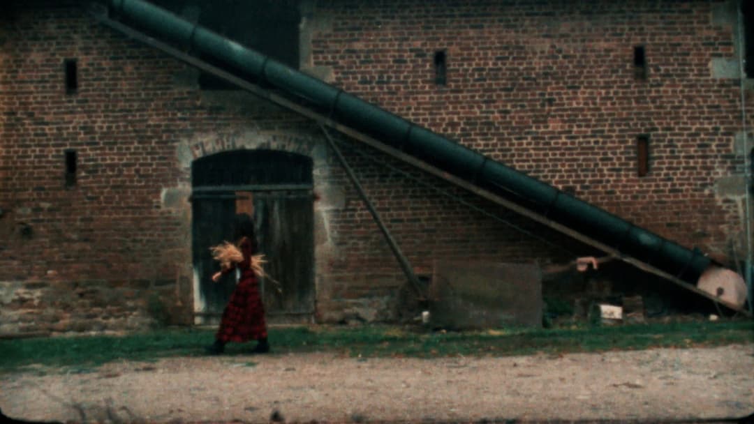 Dressed to's Song of Songs backdrop 8