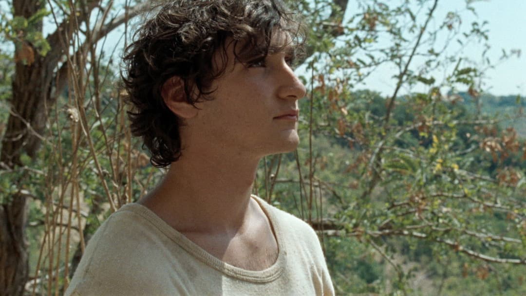 Glücklich wie Lazzaro backdrop 19