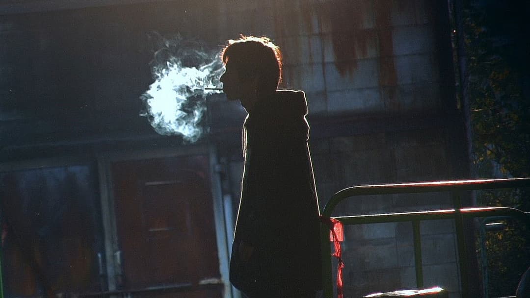 All About Lily Chou-Chou backdrop 19