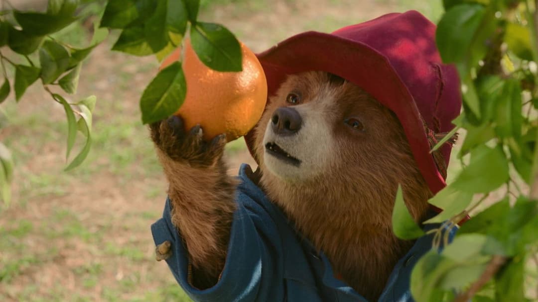 Paddington in Peru backdrop 12