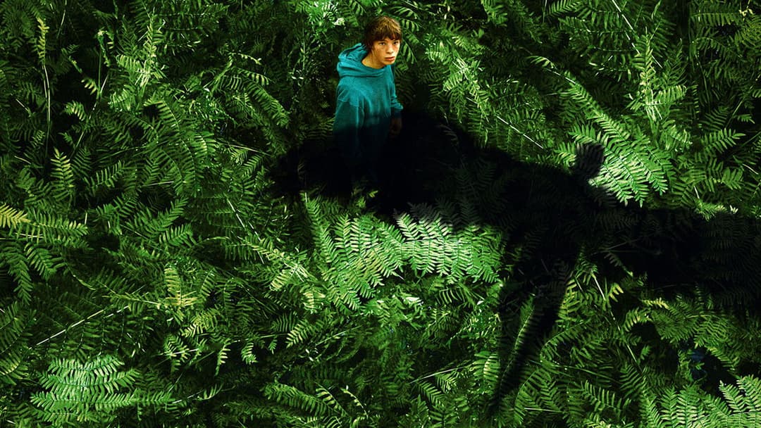 The Animal Kingdom backdrop 5