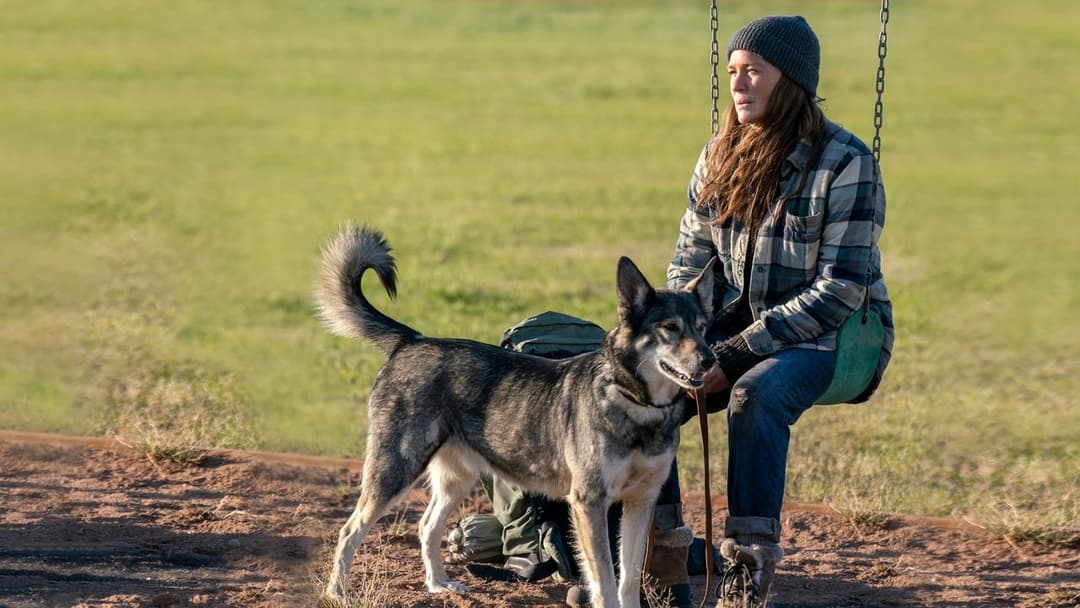 Незвідана земля backdrop 8