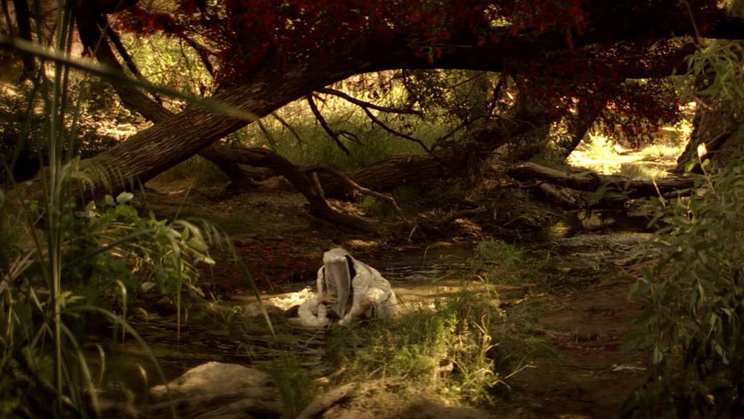 The Curse of La Llorona backdrop 16