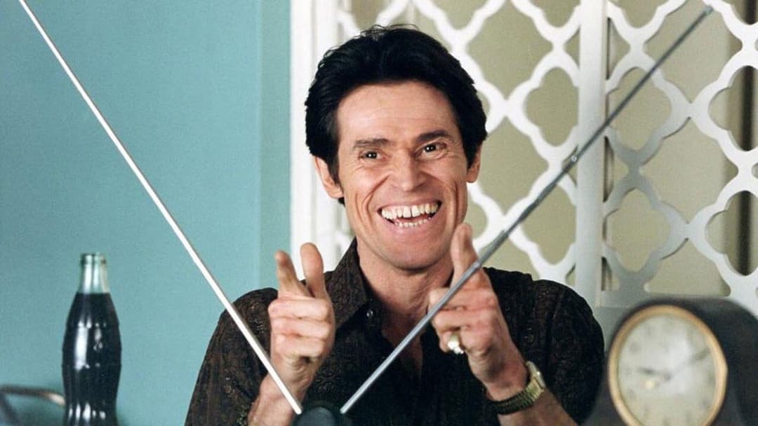 Auto Focus backdrop 6