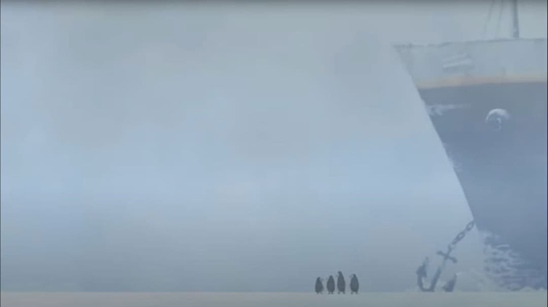 Madagascar backdrop 7