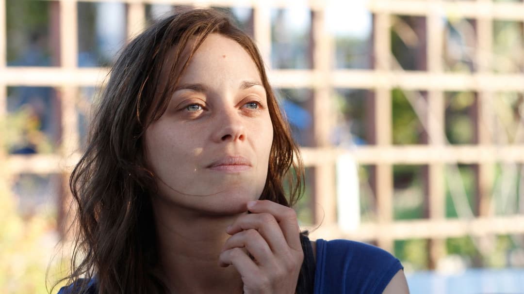 Rust and Bone backdrop 6