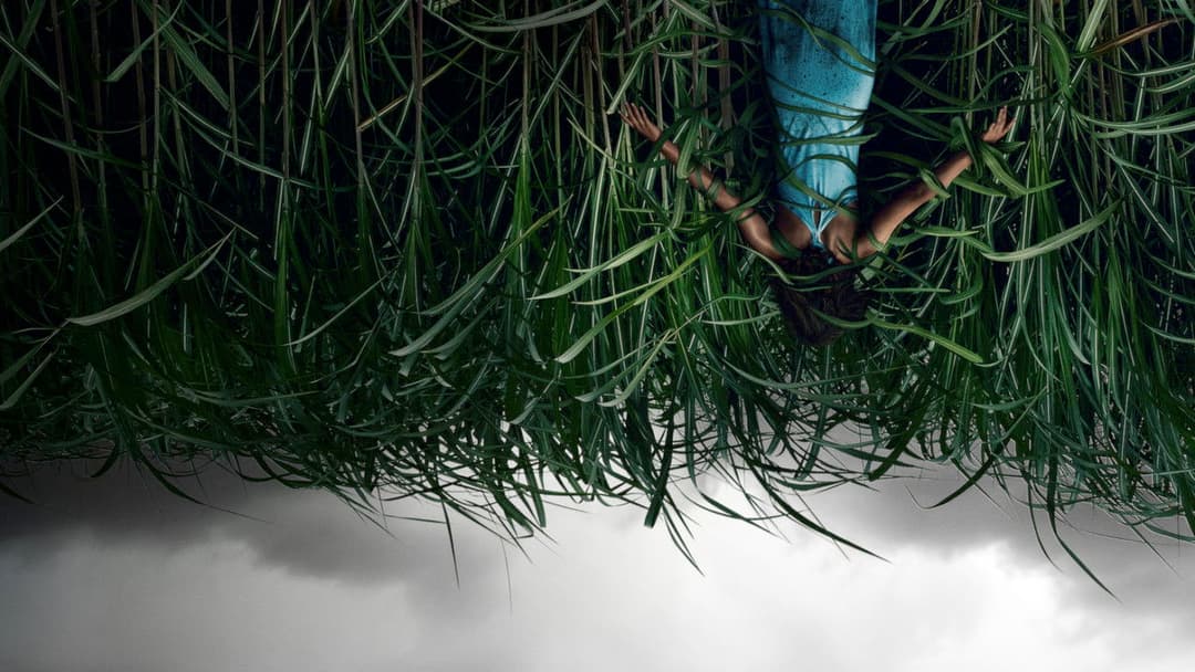 Im hohen Gras backdrop 4