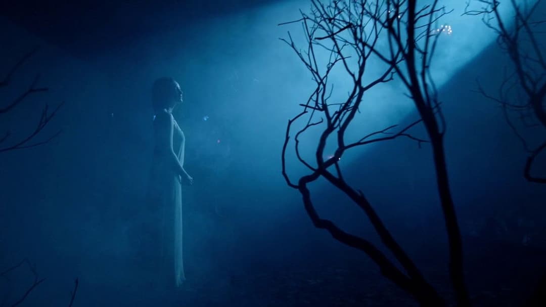 Бердмен backdrop 20