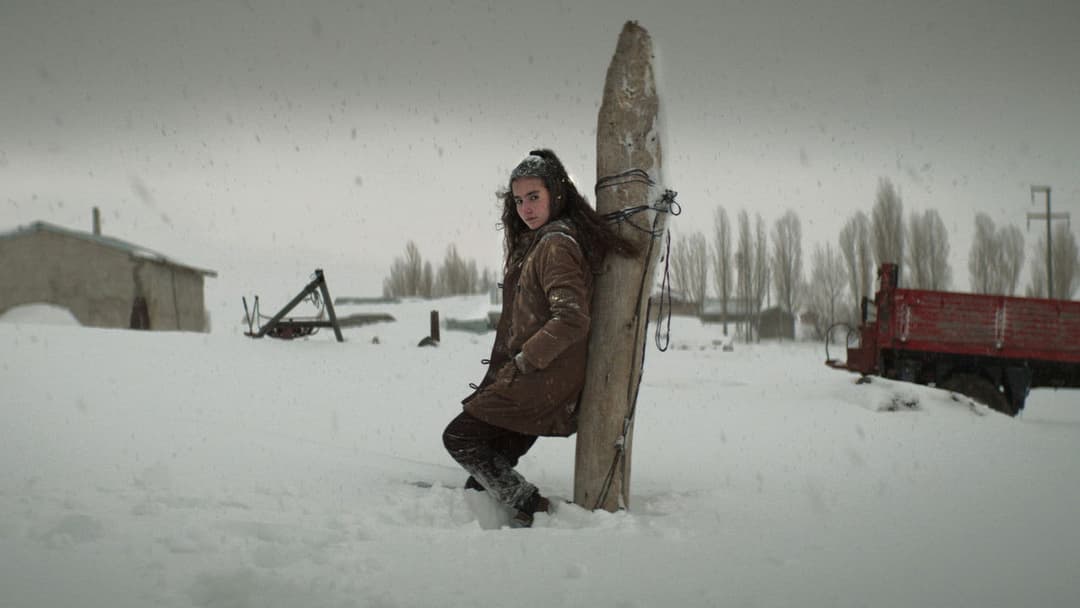 Auf trockenen Gräsern backdrop 6