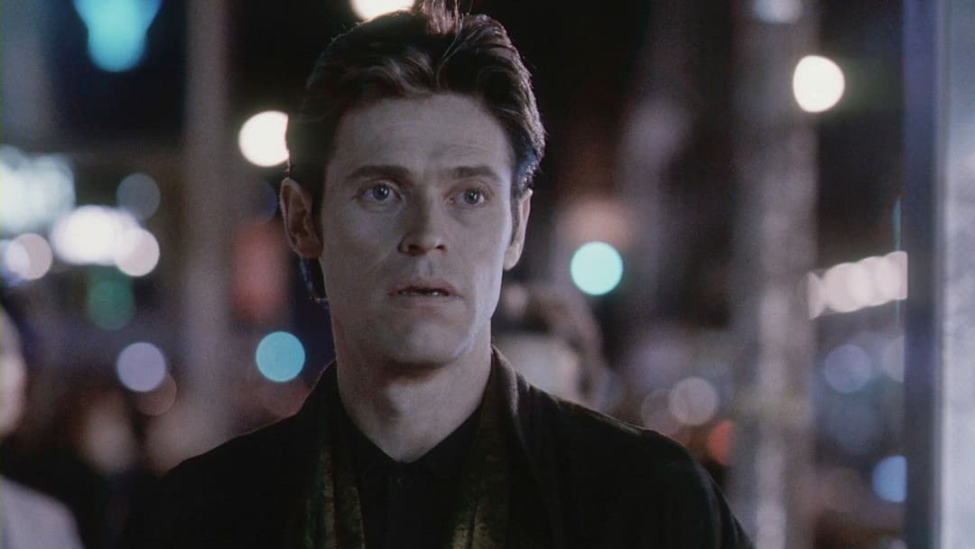 Light Sleeper backdrop 2