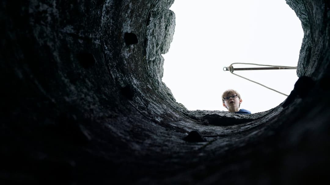 Die Farbe aus dem All backdrop 15