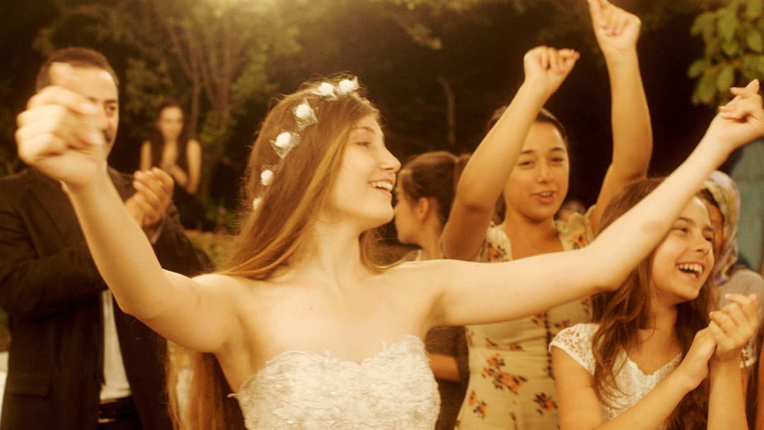 Мустанг backdrop 14