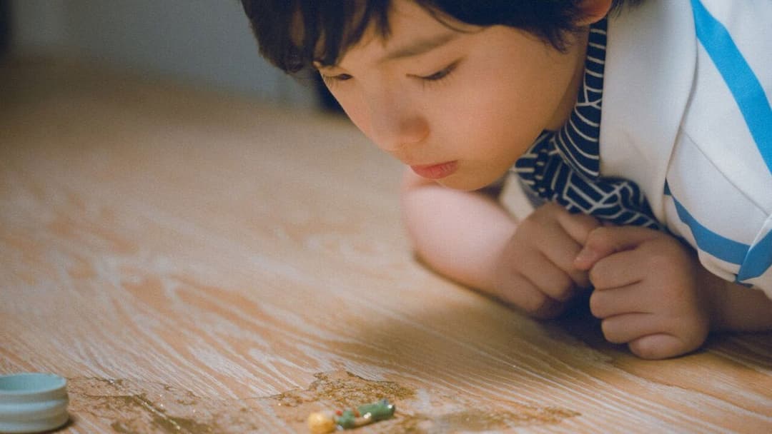 箱の中の羊 backdrop 2