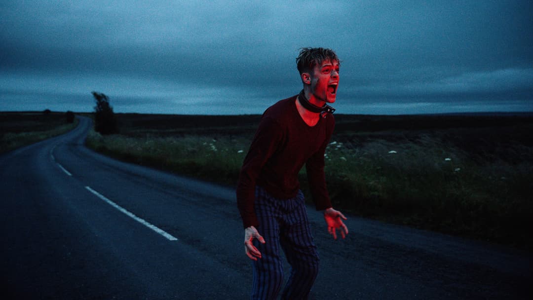 The Good Boy backdrop 5