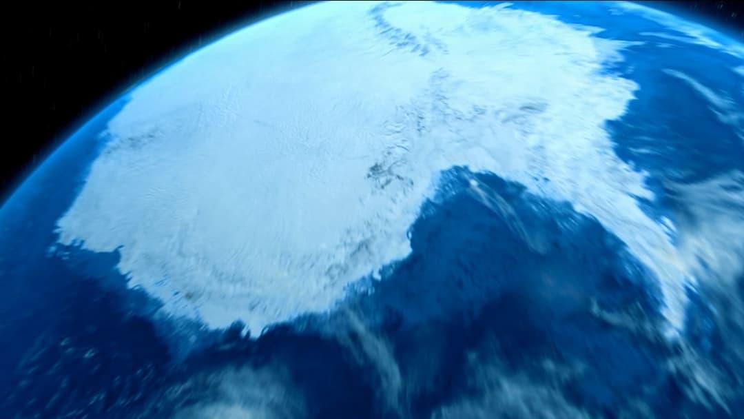 Happy Feet backdrop 12