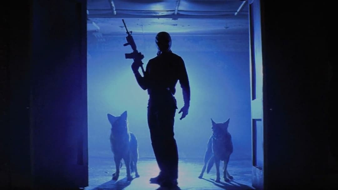 The Collection backdrop 10