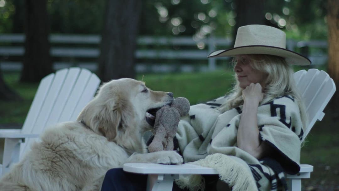 Pamela, A Love Story backdrop 5