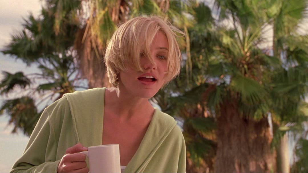 There's Something About Mary backdrop 11