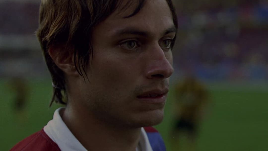 Рудо та Курсі backdrop 14