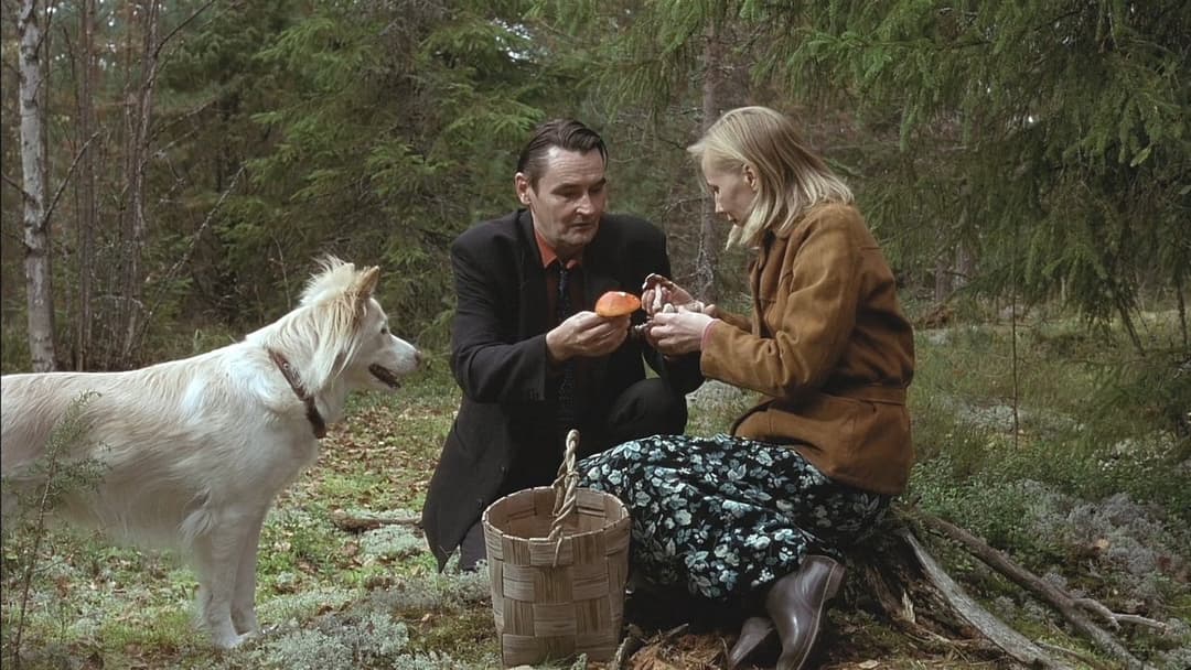 Der Mann ohne Vergangenheit