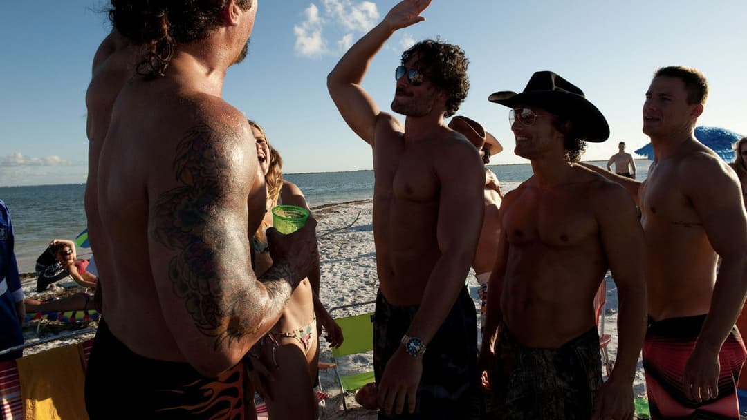 Magic Mike backdrop 19