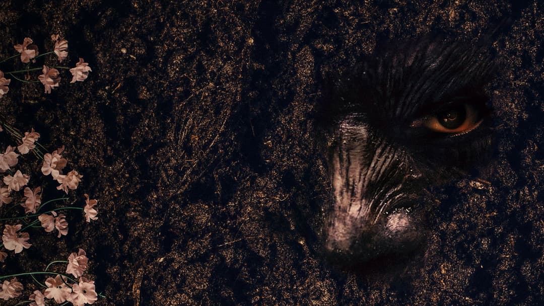 Ексгумація backdrop 13