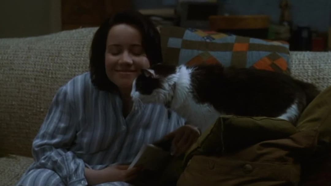 Правда про котів і собак backdrop 5