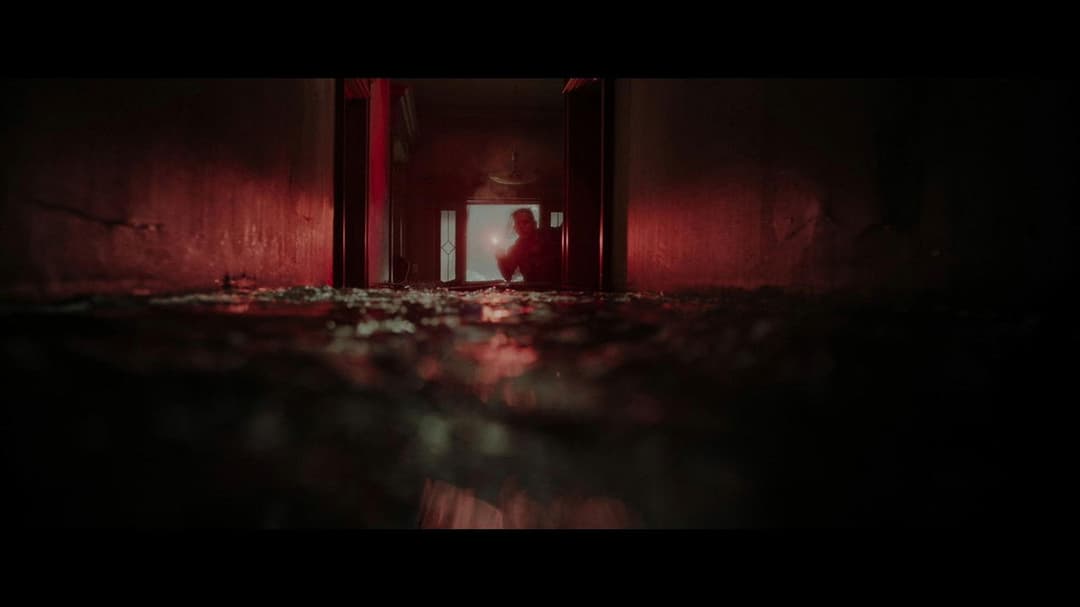 Хижаки backdrop 12