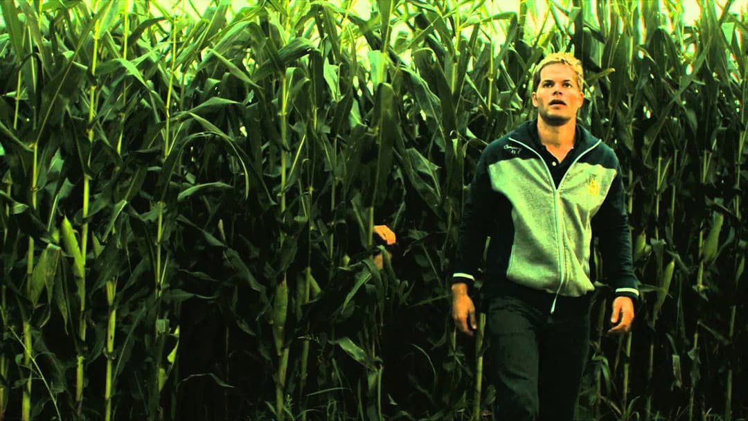 Husk – Erntezeit! backdrop 5