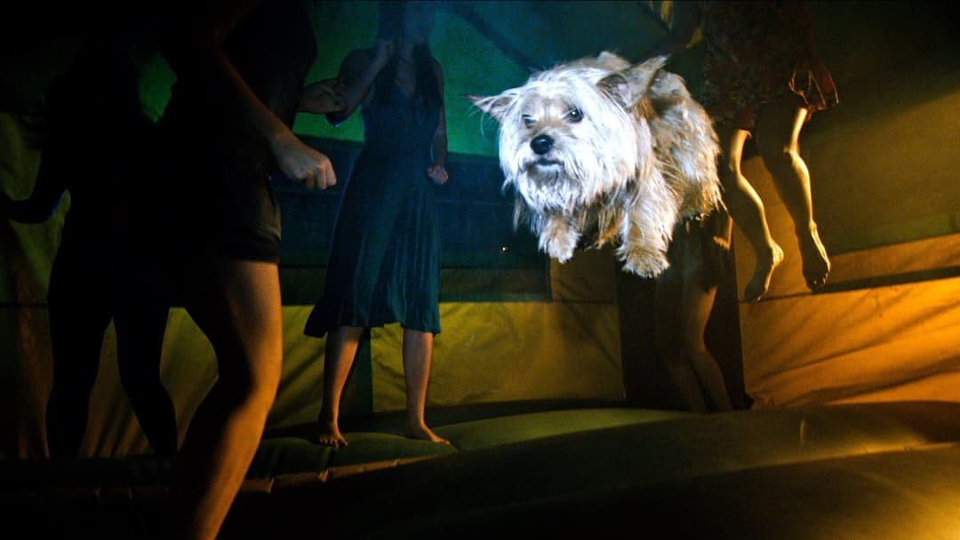 Project X backdrop 4