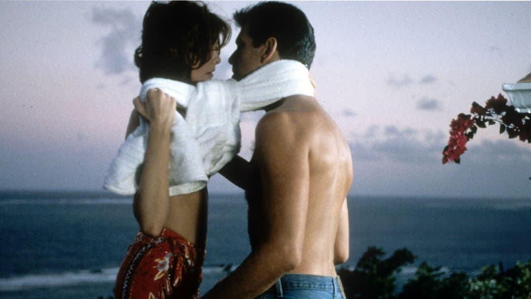 Die Thomas Crown Affäre backdrop 6