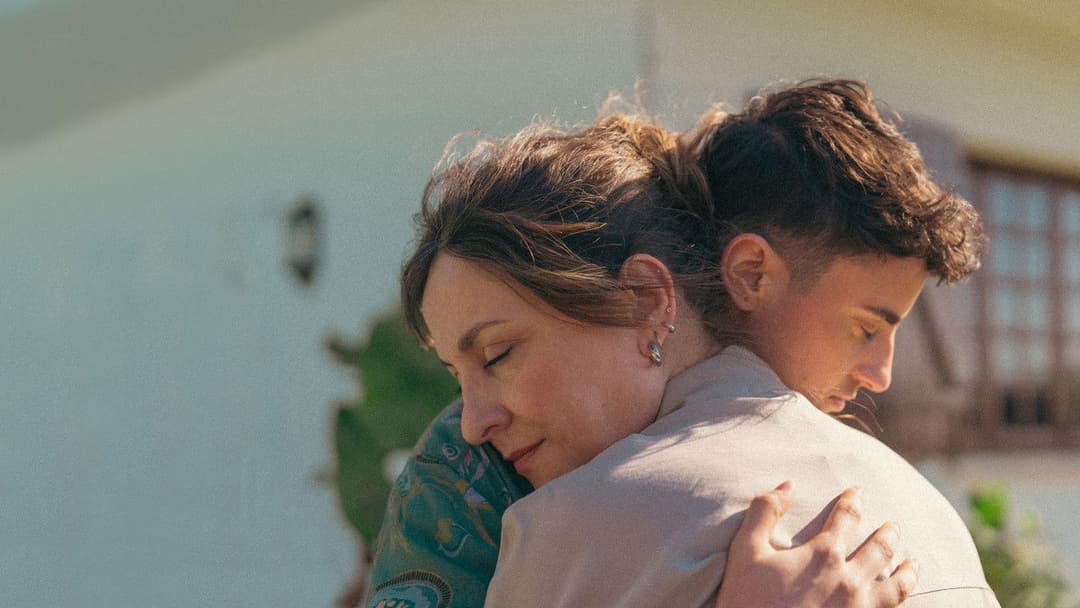 The Dashed Lines backdrop 2