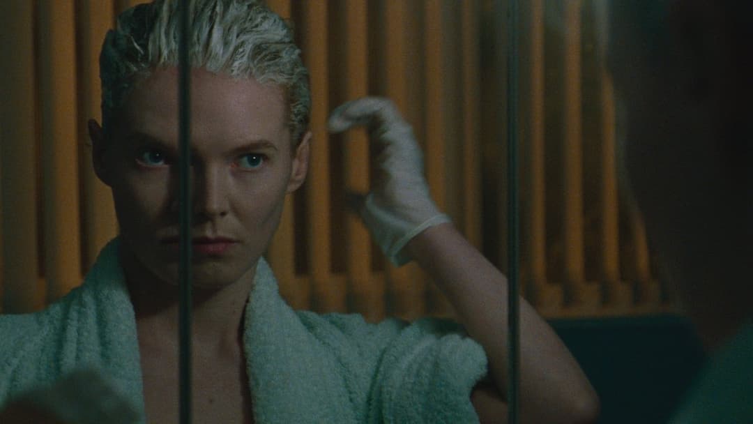 Blue Jean backdrop 2