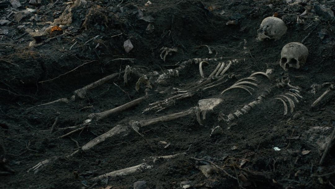 First Cow backdrop 19