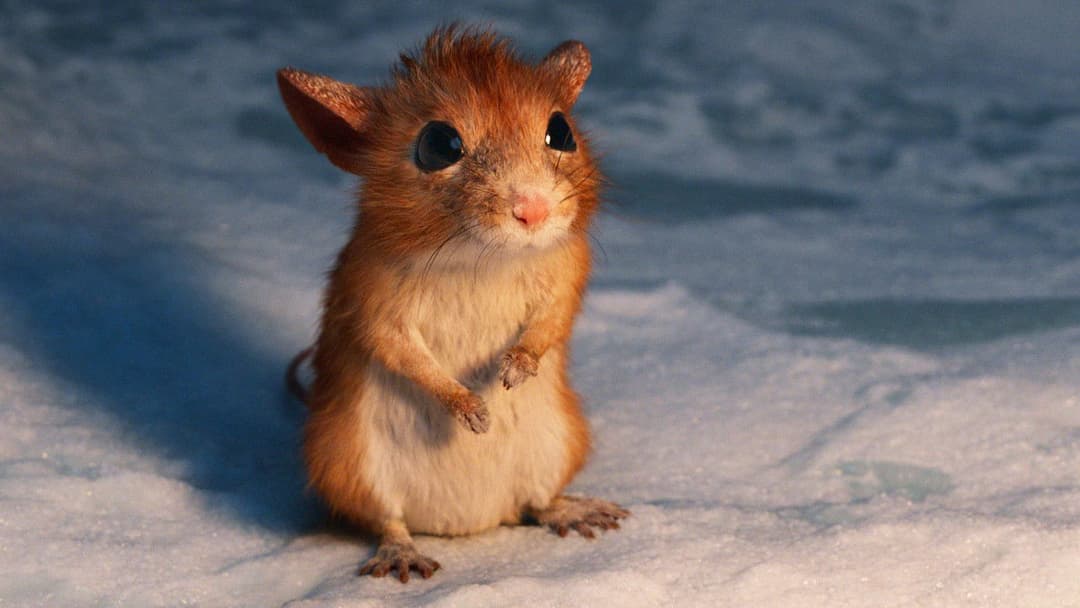 A Boy Called Christmas backdrop 20