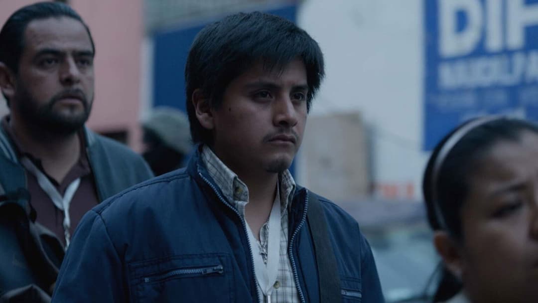 New Order backdrop 4