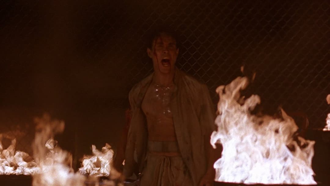 Rapid Fire backdrop 4