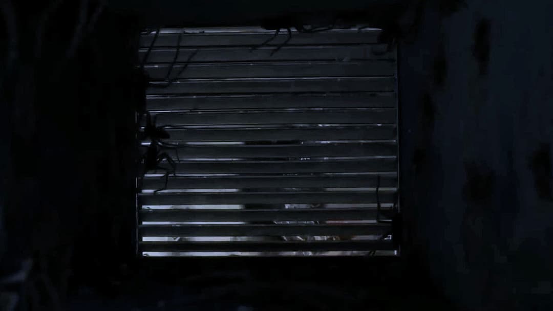 Павуче лігво backdrop 15