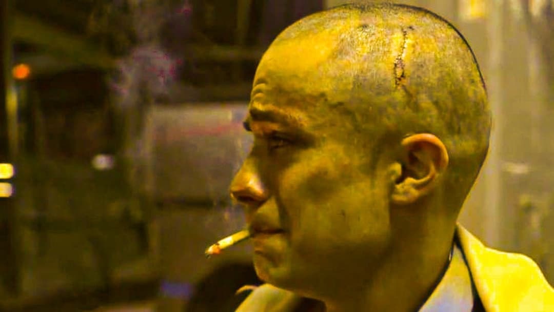 Amores perros backdrop 15