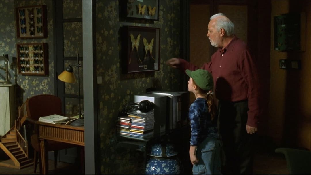 The Butterfly backdrop 9