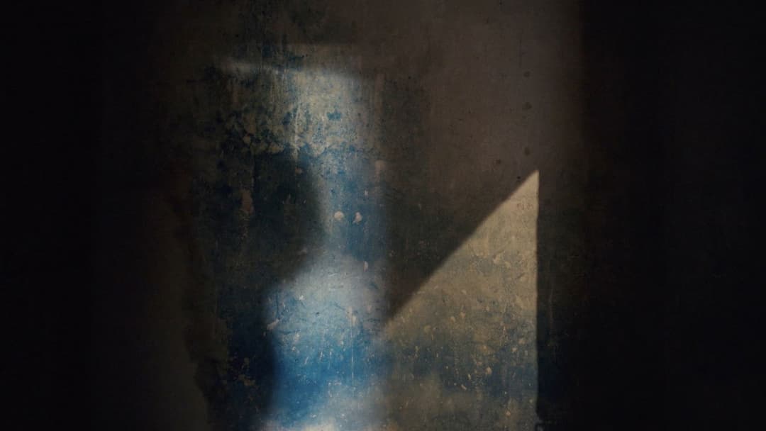 A Real Pain backdrop 20